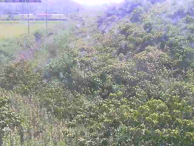 旧三谷川１2025/08/31 9:10:00
