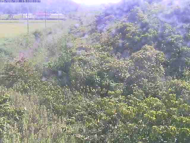 旧三谷川１2025/08/31 9:10:00