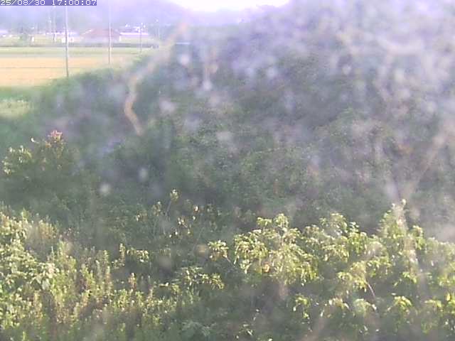 旧三谷川１2025/08/31 9:10:00
