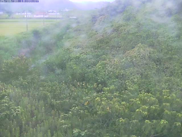 旧三谷川１2025/08/31 9:10:00