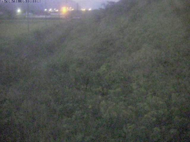 旧三谷川１2025/08/31 9:10:00
