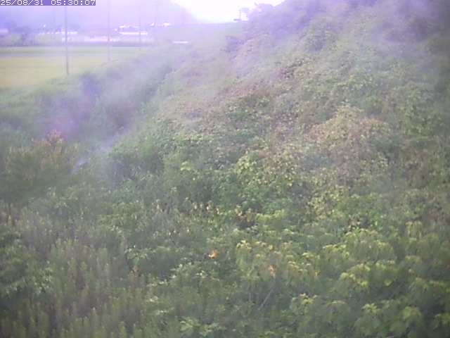 旧三谷川１2025/08/31 9:10:00