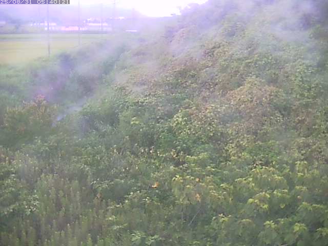 旧三谷川１2025/08/31 9:10:00