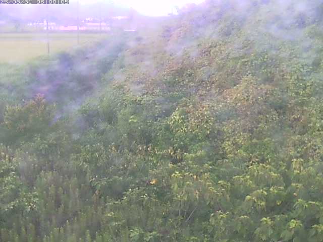 旧三谷川１2025/08/31 9:10:00