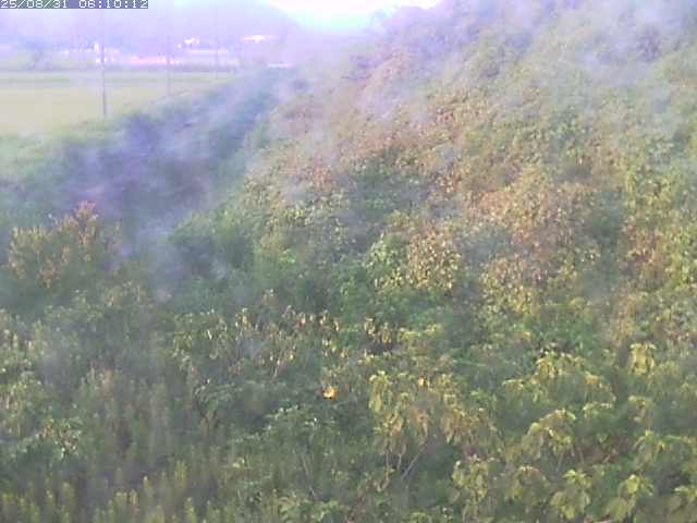 旧三谷川１2025/08/31 9:10:00