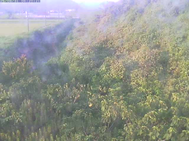 旧三谷川１2025/08/31 9:10:00