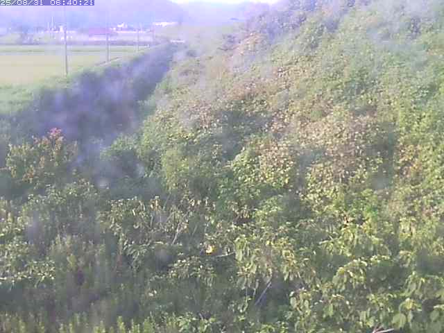 旧三谷川１2025/08/31 9:10:00