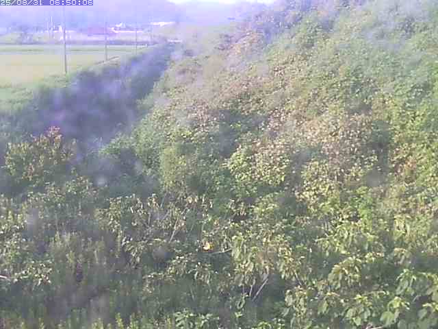 旧三谷川１2025/08/31 9:10:00
