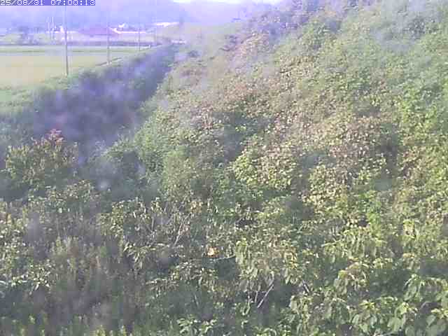旧三谷川１2025/08/31 9:10:00
