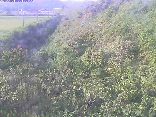旧三谷川１2025/08/31 9:10:00