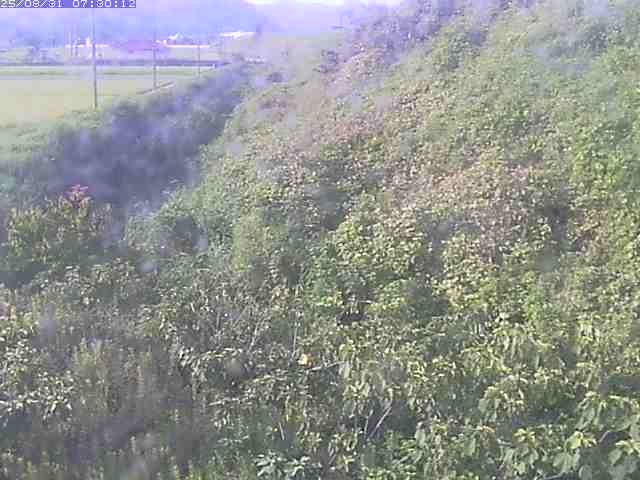 旧三谷川１2025/08/31 9:10:00
