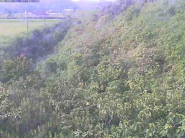 旧三谷川１2025/08/31 9:10:00