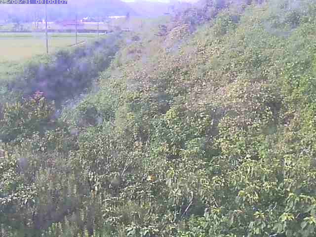 旧三谷川１2025/08/31 9:10:00