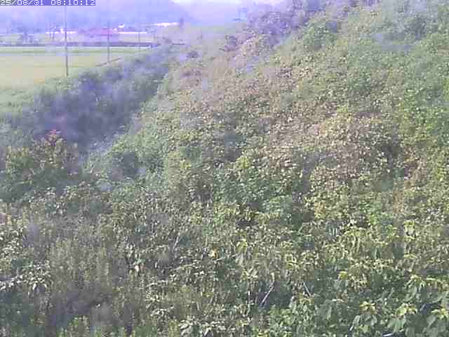 旧三谷川１2025/08/31 9:10:00
