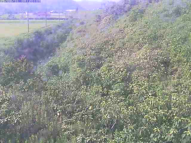 旧三谷川１2025/08/31 9:10:00