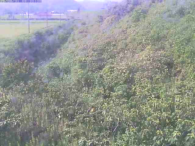 旧三谷川１2025/08/31 9:10:00