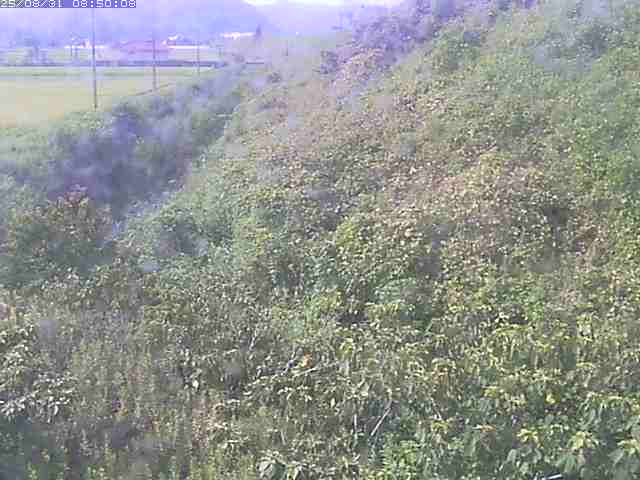 旧三谷川１2025/08/31 9:10:00