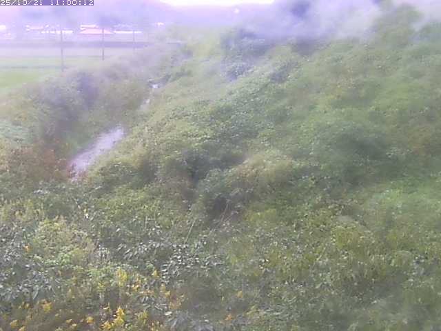 旧三谷川１2025/10/22 11:20:00