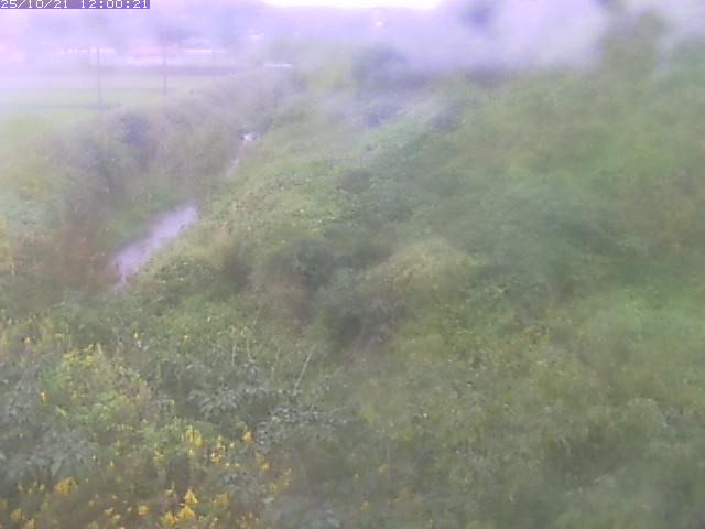 旧三谷川１2025/10/22 11:20:00