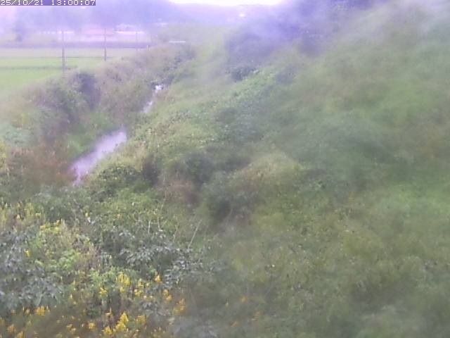 旧三谷川１2025/10/22 11:20:00