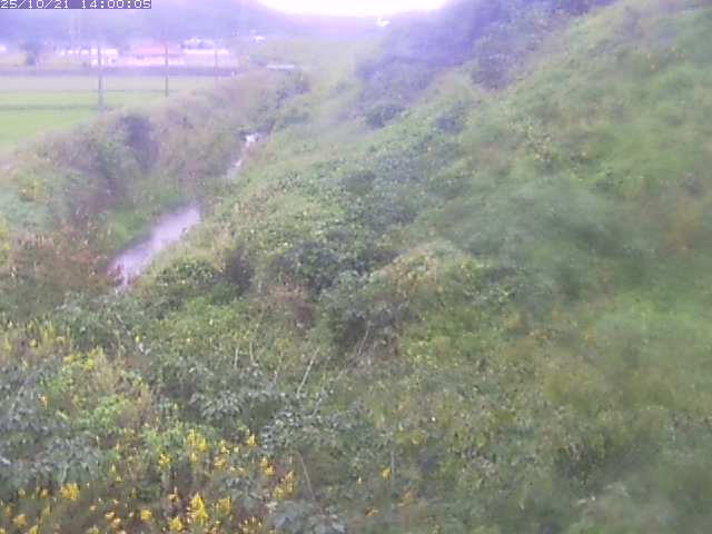 旧三谷川１2025/10/22 11:20:00