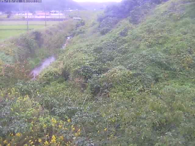 旧三谷川１2025/10/22 11:20:00