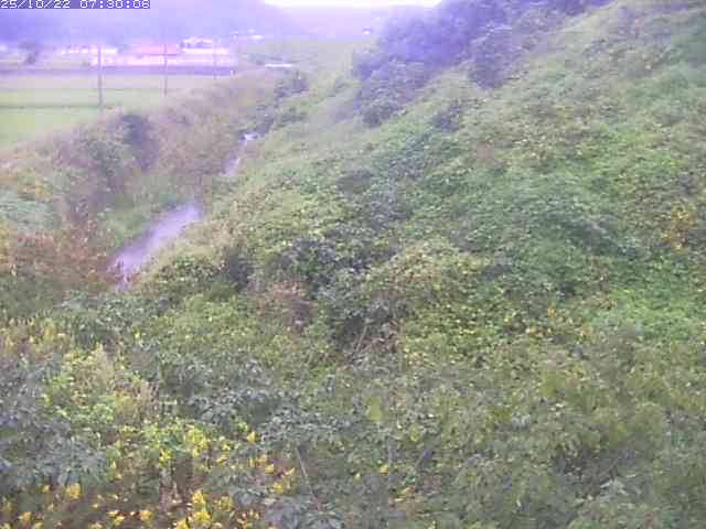 旧三谷川１2025/10/22 11:20:00