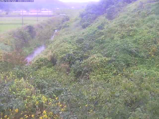 旧三谷川１2025/10/22 11:20:00
