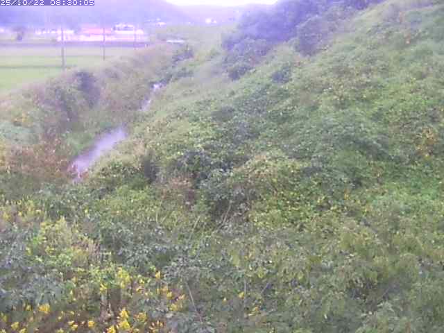 旧三谷川１2025/10/22 11:20:00