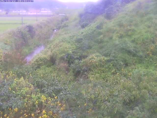 旧三谷川１2025/10/22 11:20:00
