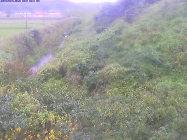 旧三谷川１2025/10/22 11:20:00