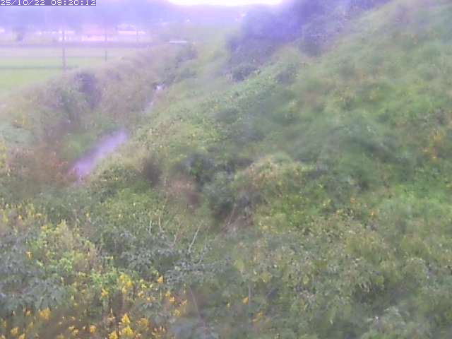 旧三谷川１2025/10/22 11:20:00
