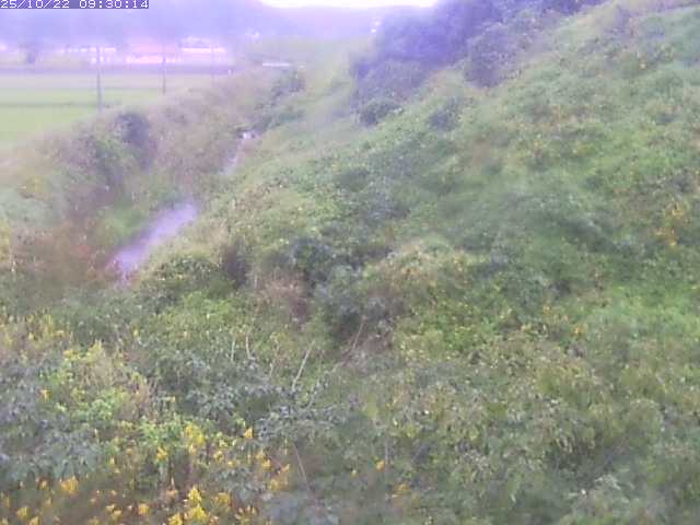 旧三谷川１2025/10/22 11:20:00