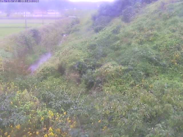 旧三谷川１2025/10/22 11:20:00