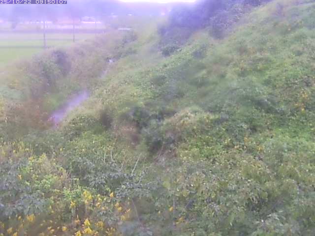 旧三谷川１2025/10/22 11:20:00
