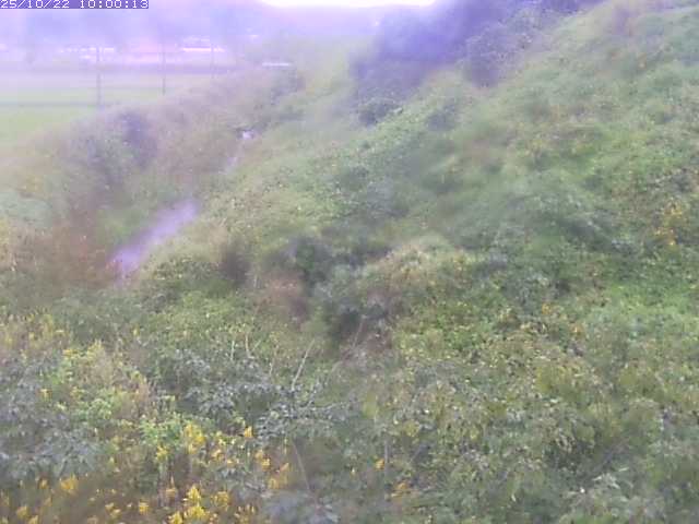 旧三谷川１2025/10/22 11:20:00