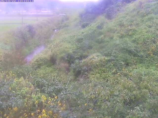 旧三谷川１2025/10/22 11:20:00