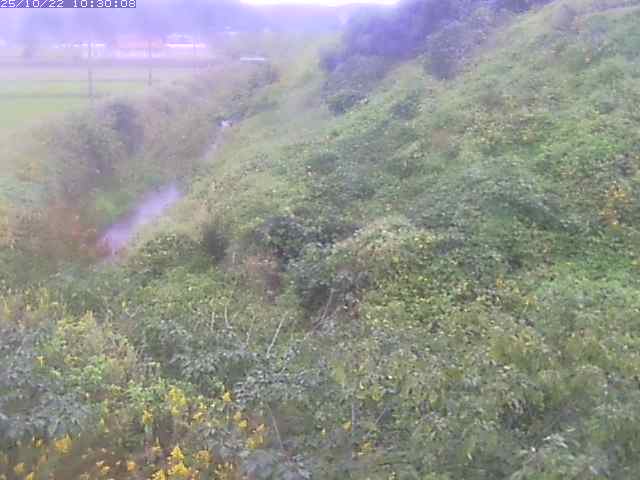 旧三谷川１2025/10/22 11:20:00