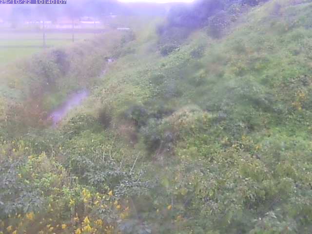旧三谷川１2025/10/22 11:20:00