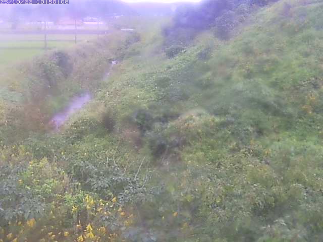 旧三谷川１2025/10/22 11:20:00