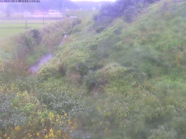 旧三谷川１2025/10/22 11:20:00