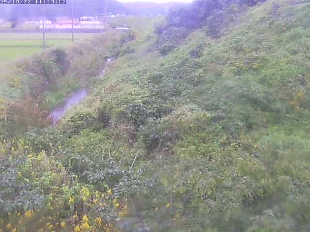 旧三谷川１2025/10/22 11:20:00