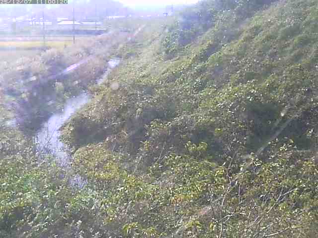 旧三谷川１2025/12/08 11:30:00