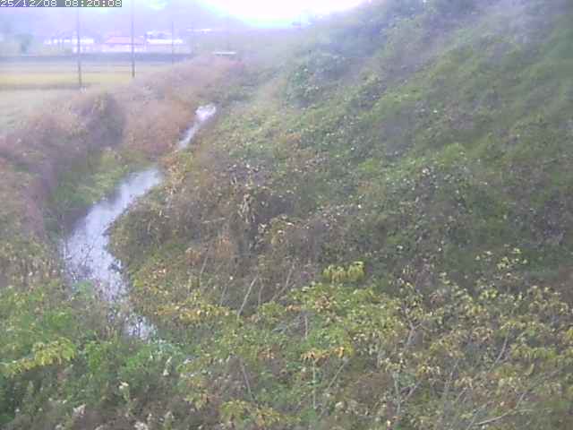 旧三谷川１2025/12/08 11:30:00