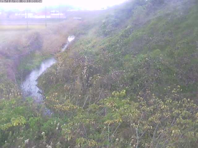 旧三谷川１2025/12/08 11:30:00