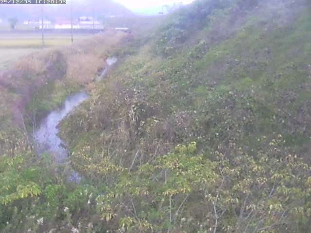 旧三谷川１2025/12/08 11:30:00