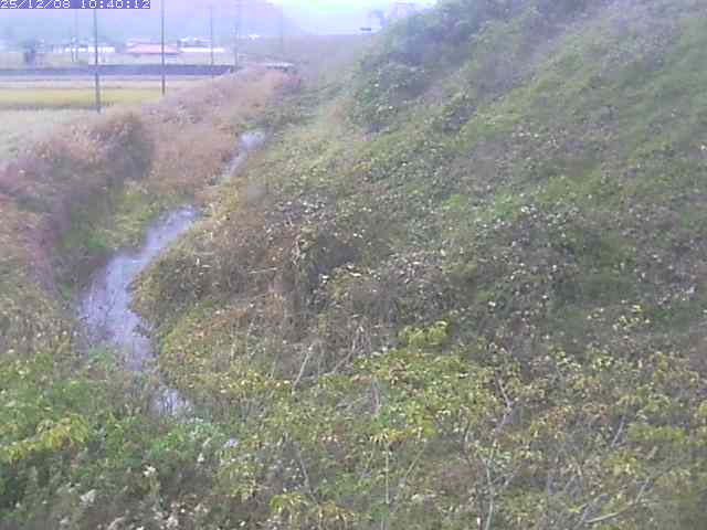 旧三谷川１2025/12/08 11:30:00