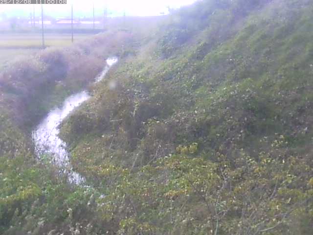 旧三谷川１2025/12/08 11:30:00