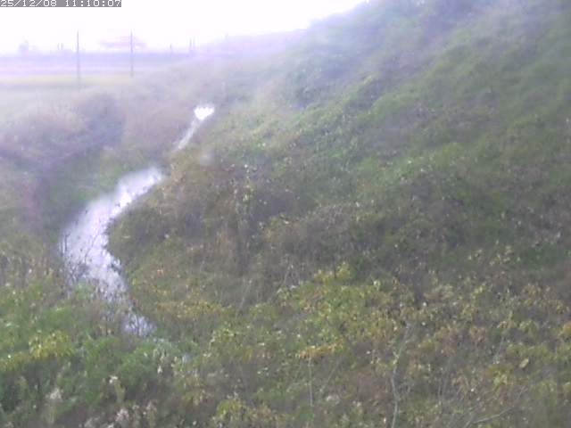 旧三谷川１2025/12/08 11:30:00