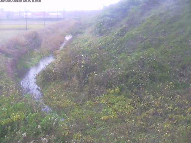 旧三谷川１2025/12/08 11:30:00